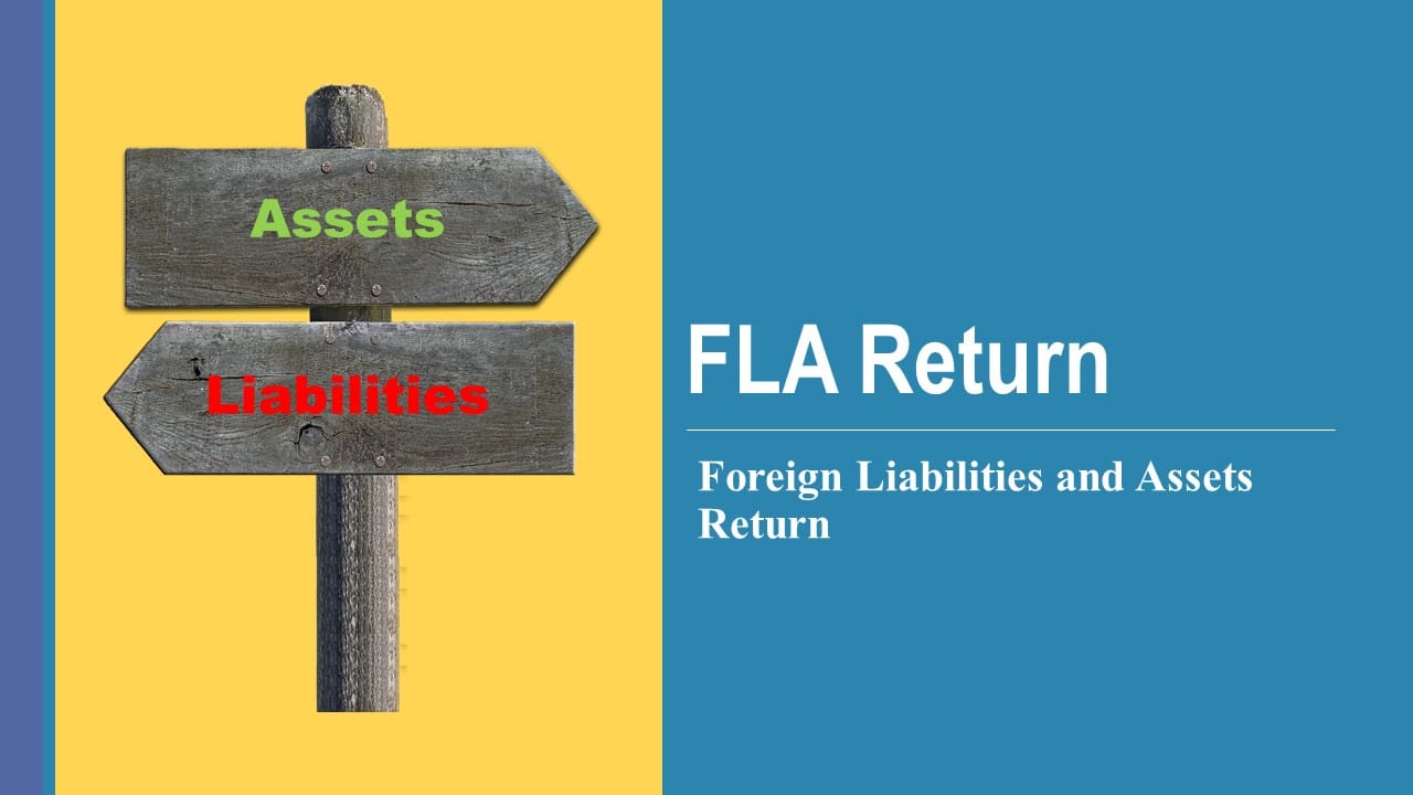 Foreign Liabilities and Assets Return (FLA Return)